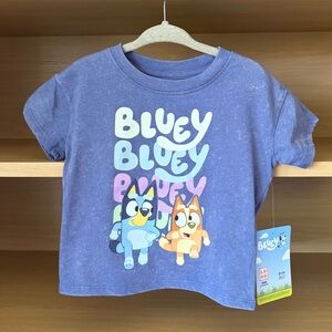 ✨$6✨NWT•Bluey & Bingo Toddler Short Sleeve Tee | Gray Blue |  18m